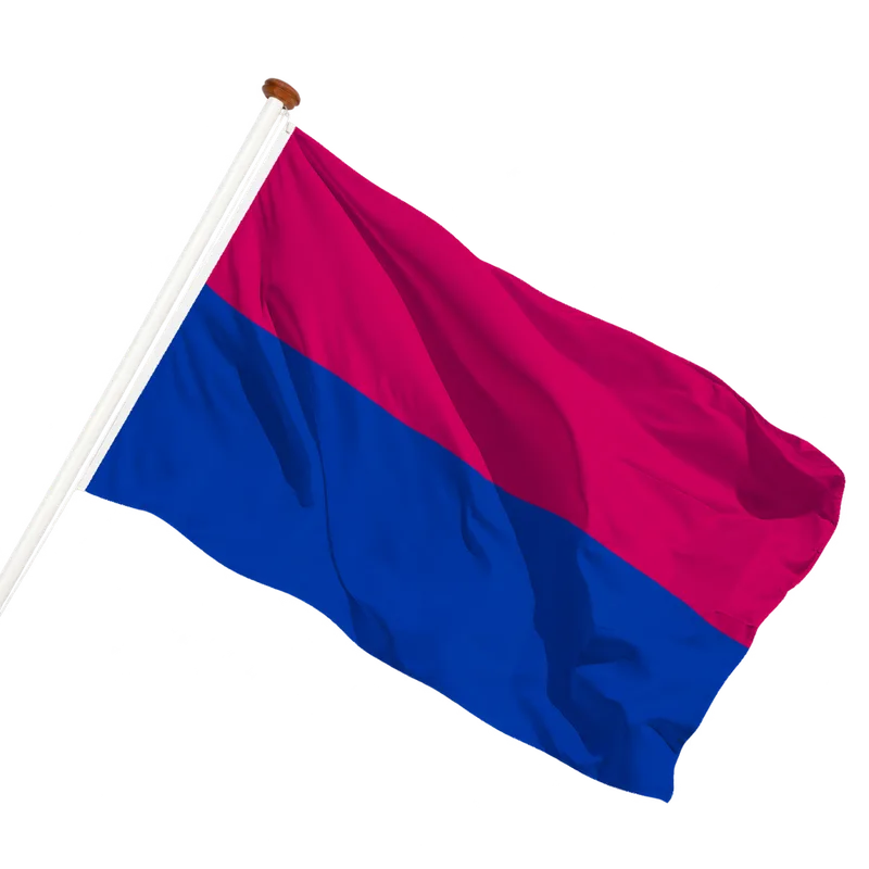 Vlag van Venlo