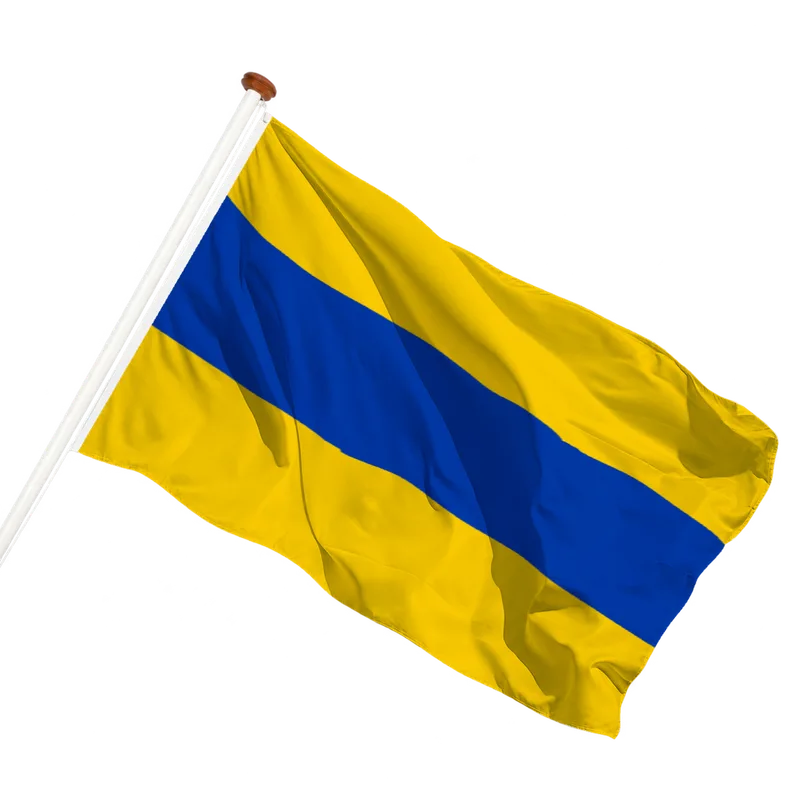 Vlag van Lisse