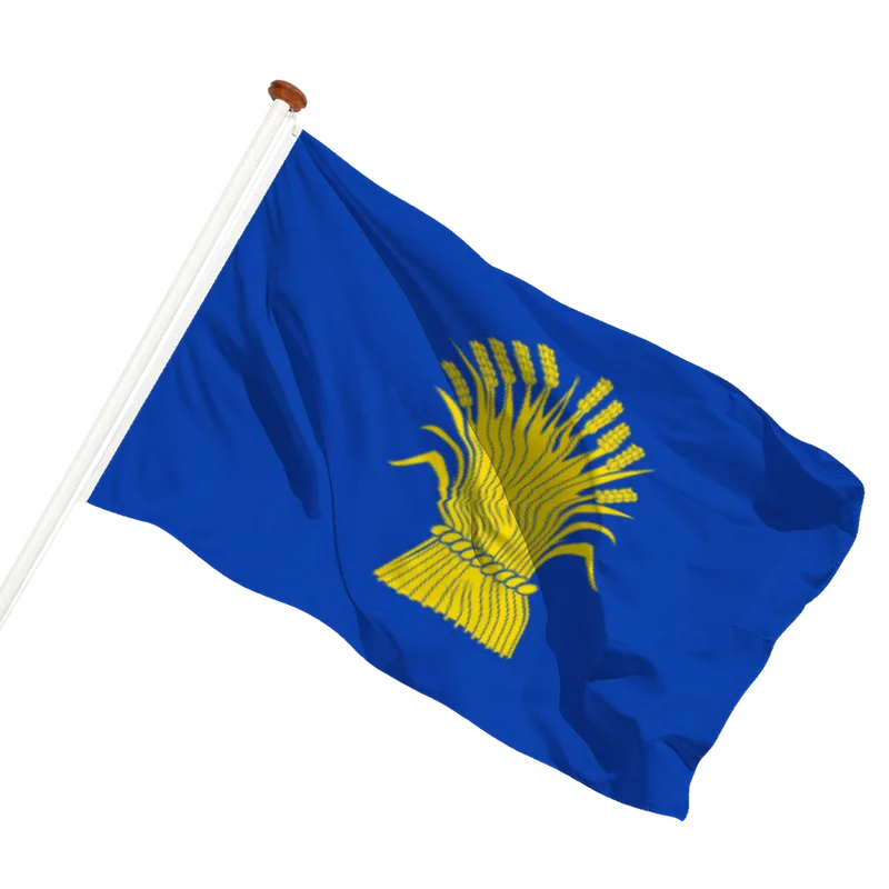 Vlag van Reusel