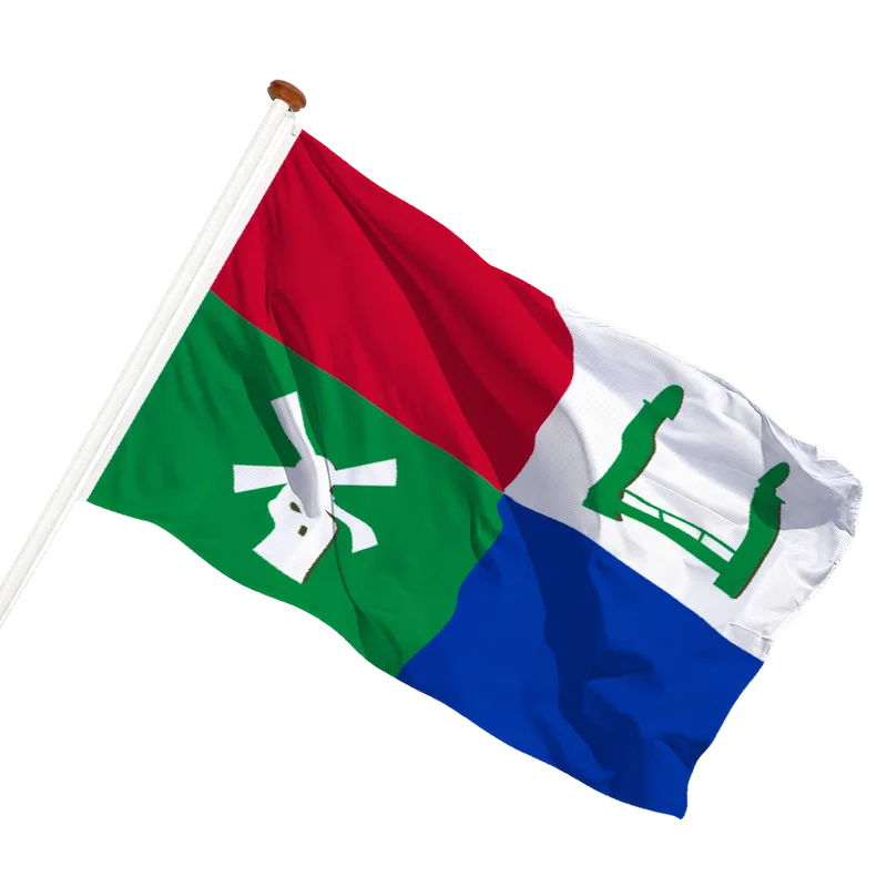 Vlag van Ten Post