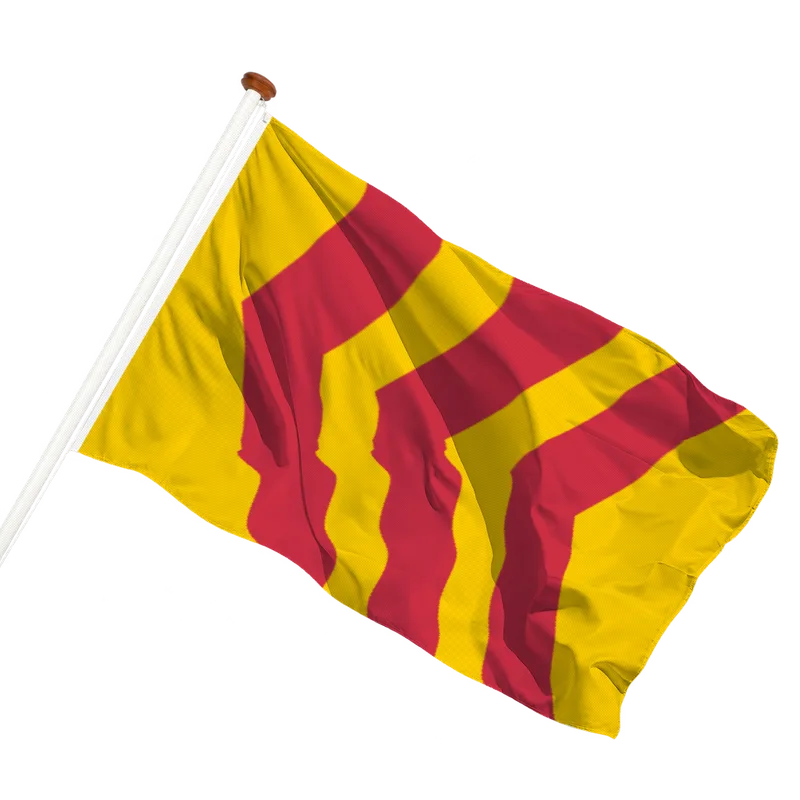 Vlag van Voorst