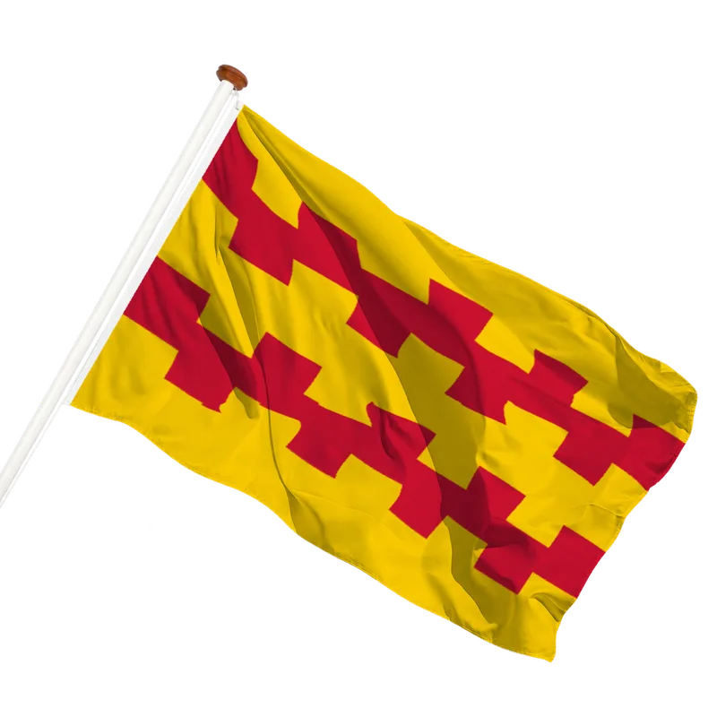 Vlag van Leerdam