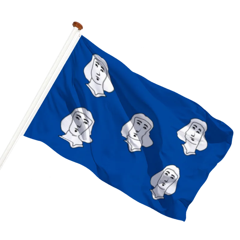 Vlag van Ciney