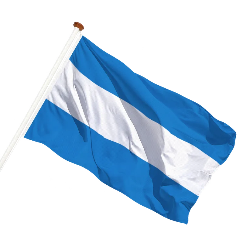 Vlag van Tienen