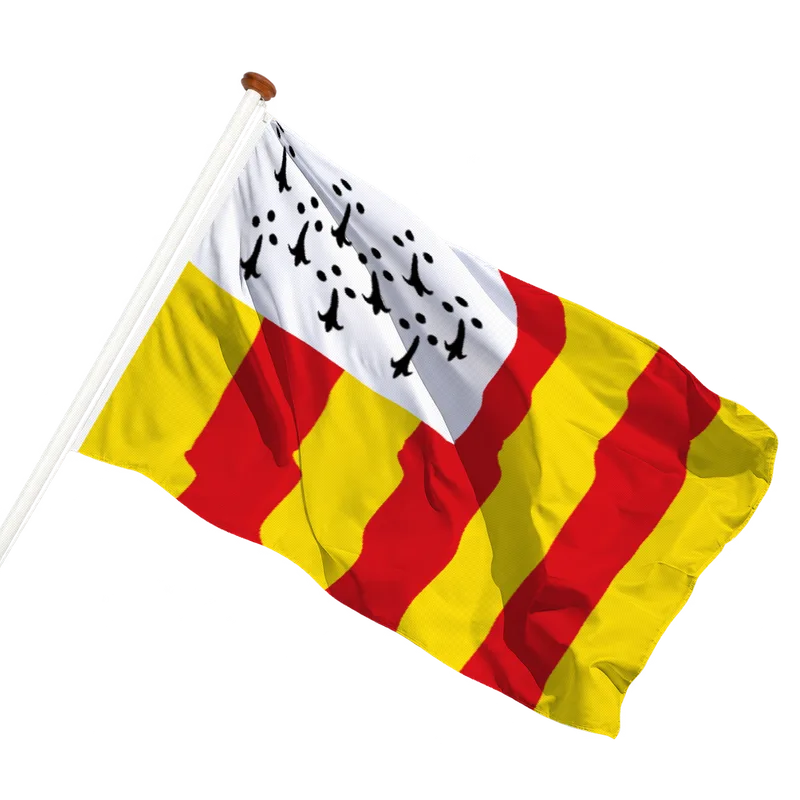 Vlag van Geel