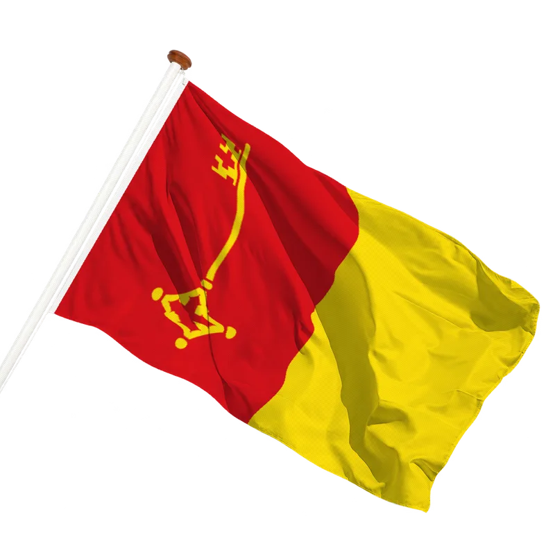 Vlag van Mol