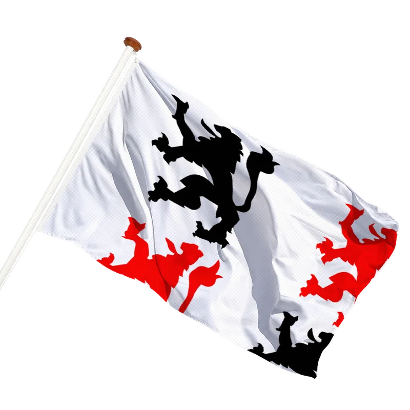 Vlag van Schoonhoven