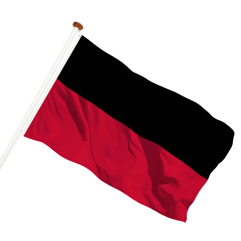 Vlag van Nijmegen
