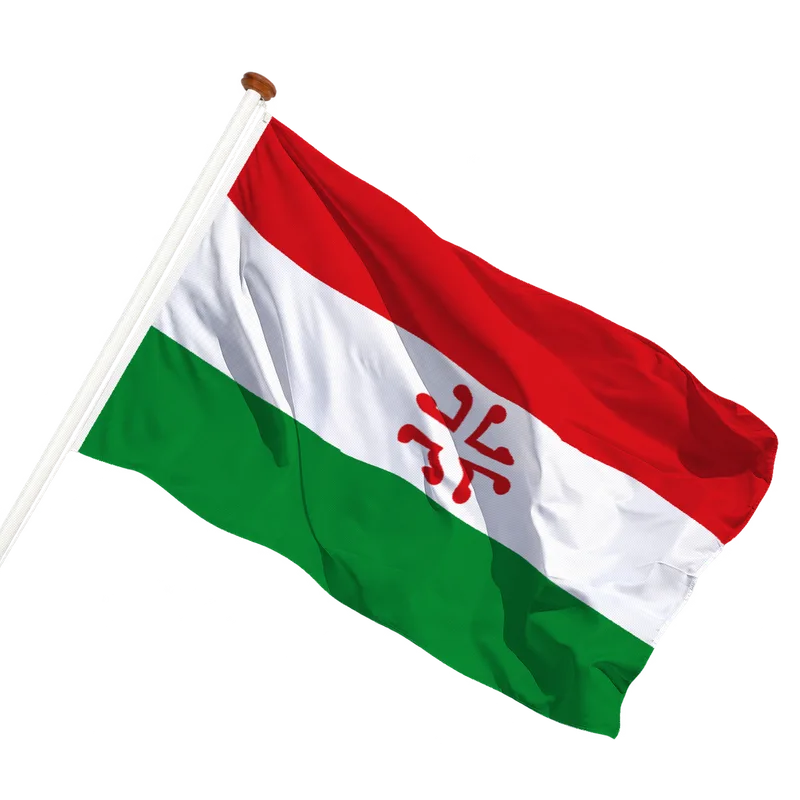 Vlag van De Haan