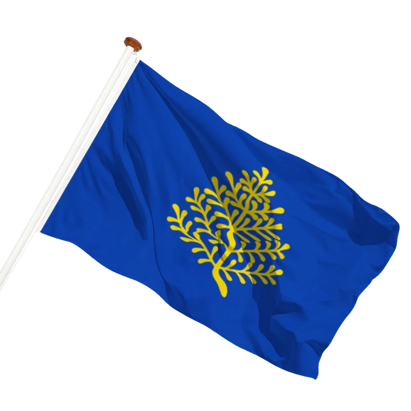Vlag van Rijssen