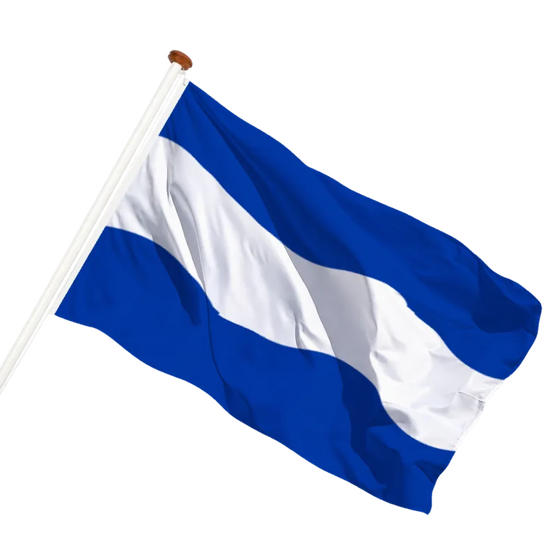 Vlag van Maassluis