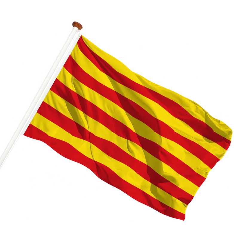 Vlag van Borgloon