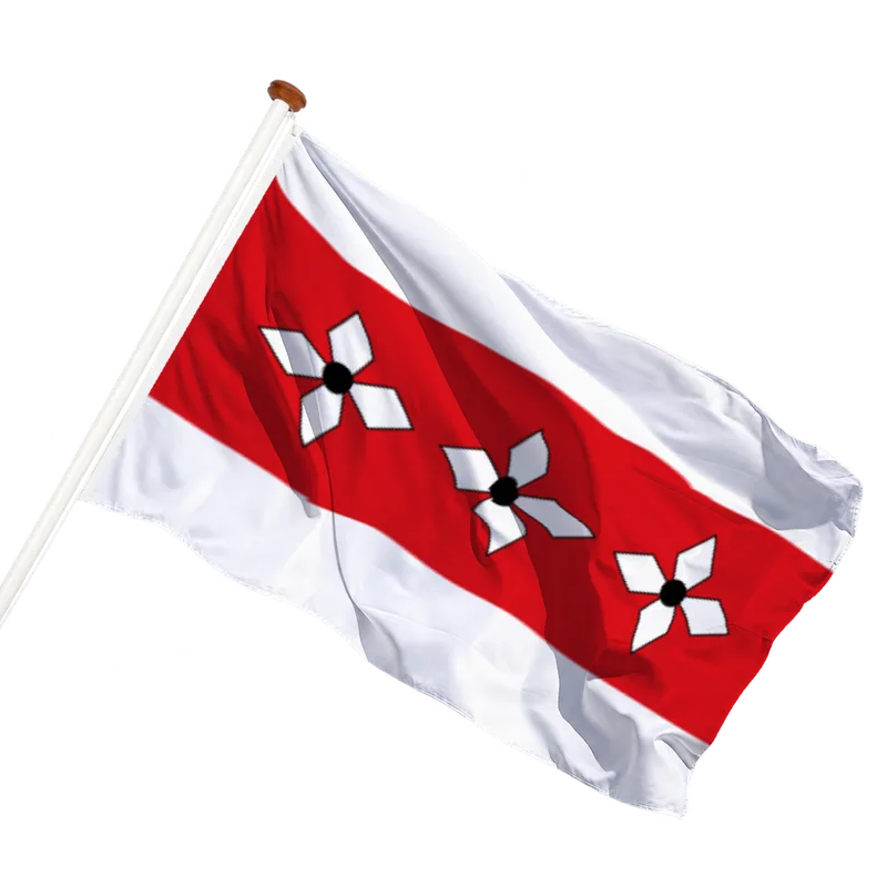 Vlag van Vries