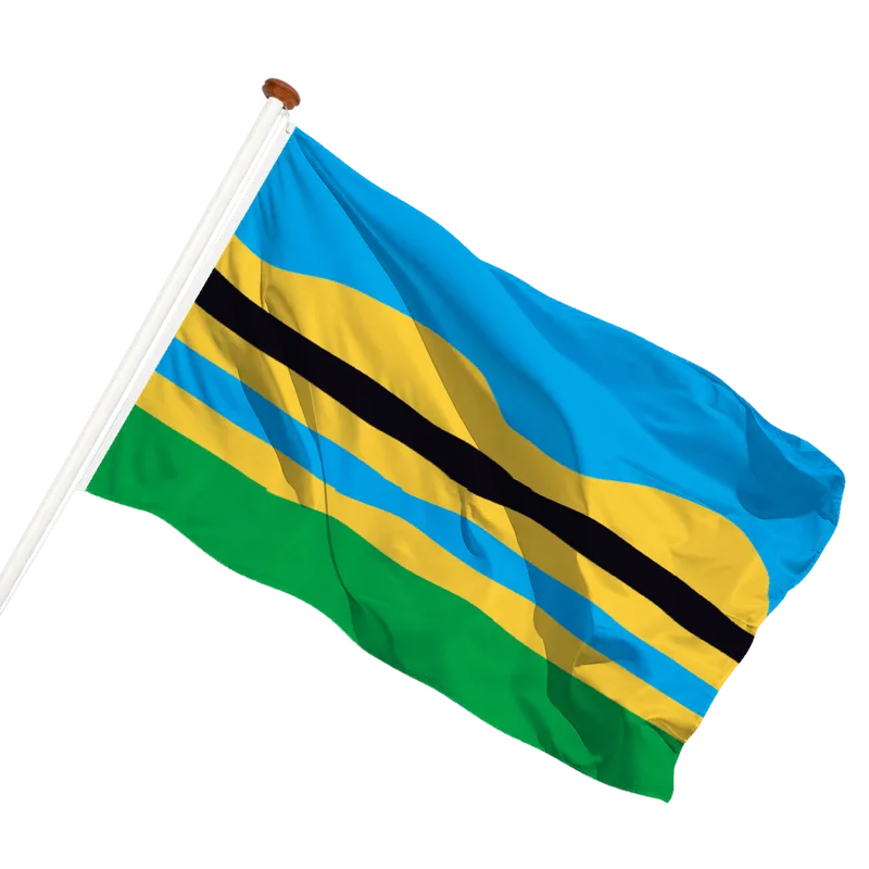 Vlag van Wirdum