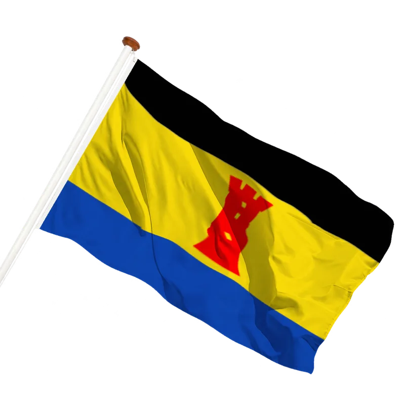 Vlag van Born