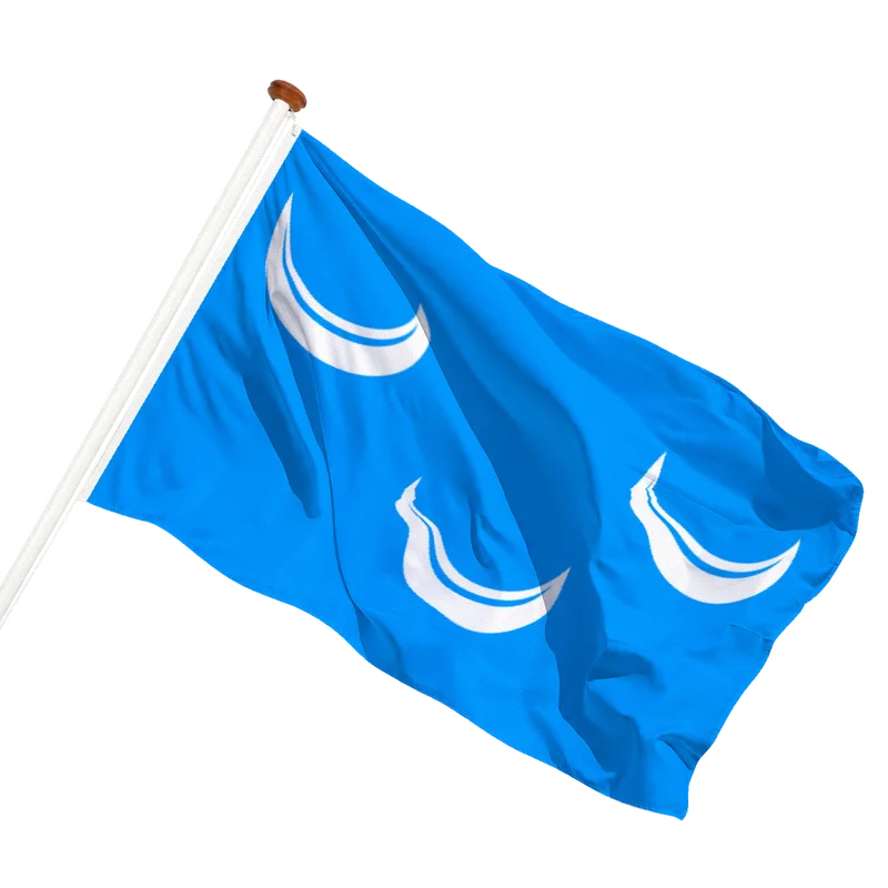 Vlag van Wassenaar
