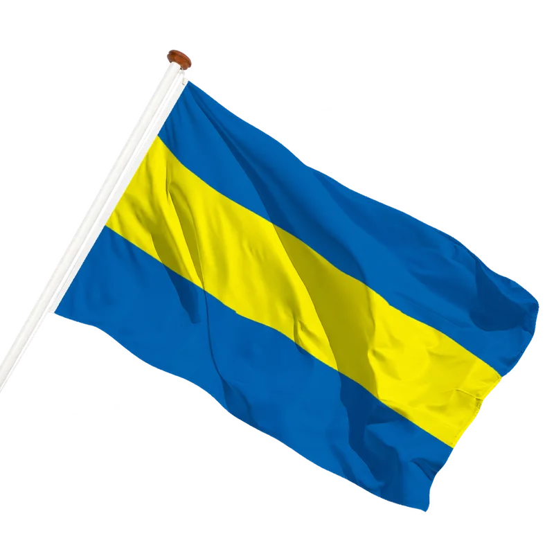 Vlag van Rijswijk