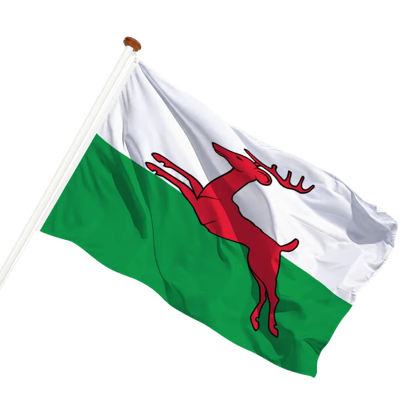 Vlag van Smallingerland