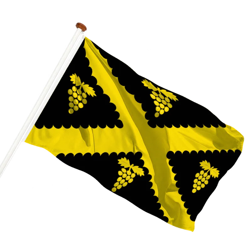 Vlag van Wijnegem