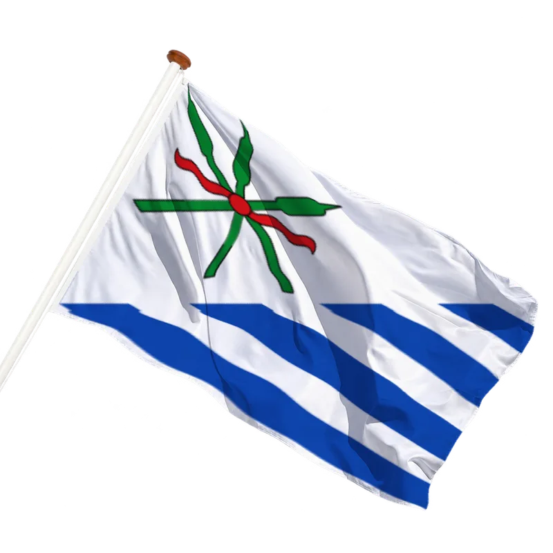 Vlag van Anjum