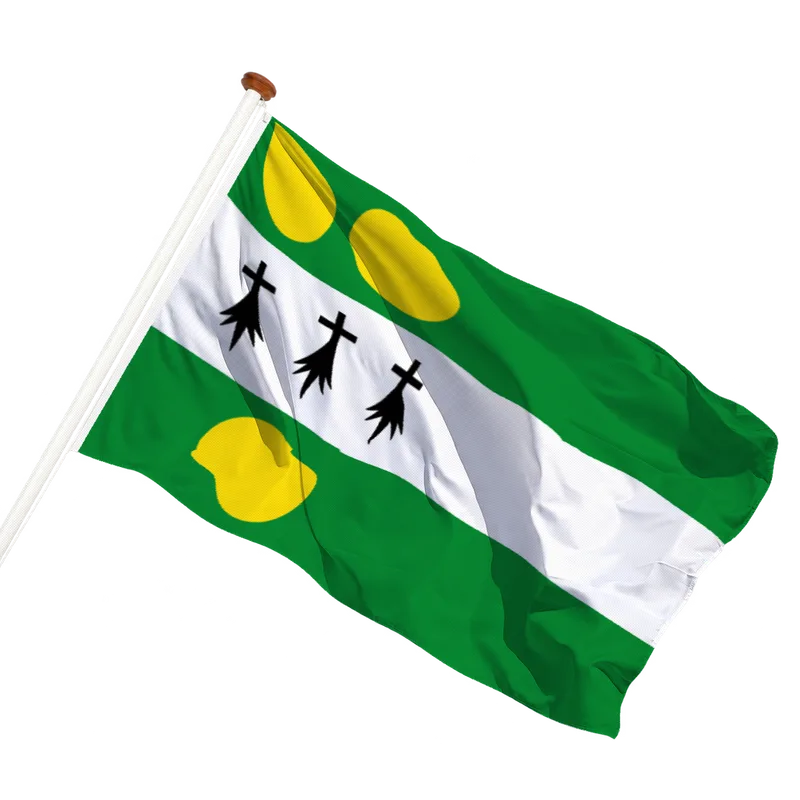 Vlag van Anthisnes