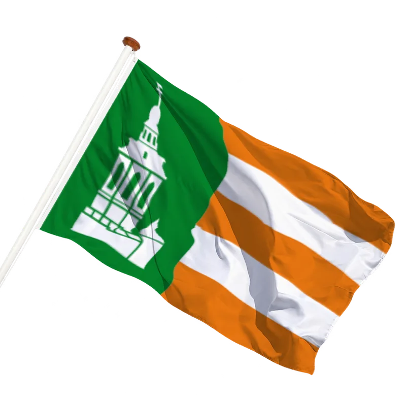 Vlag van Dronrijp