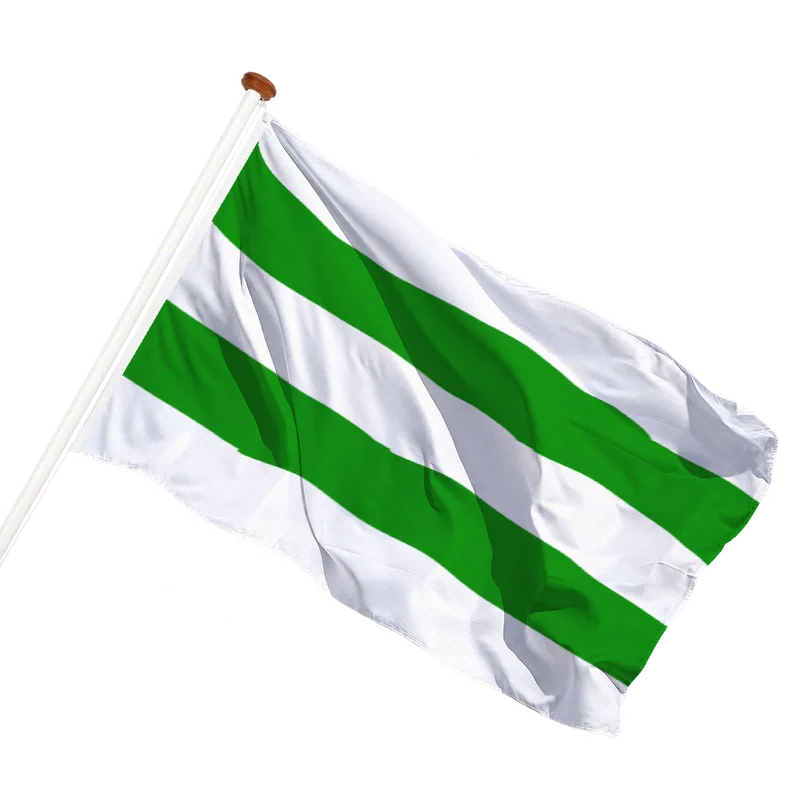 Vlag van Hasselt