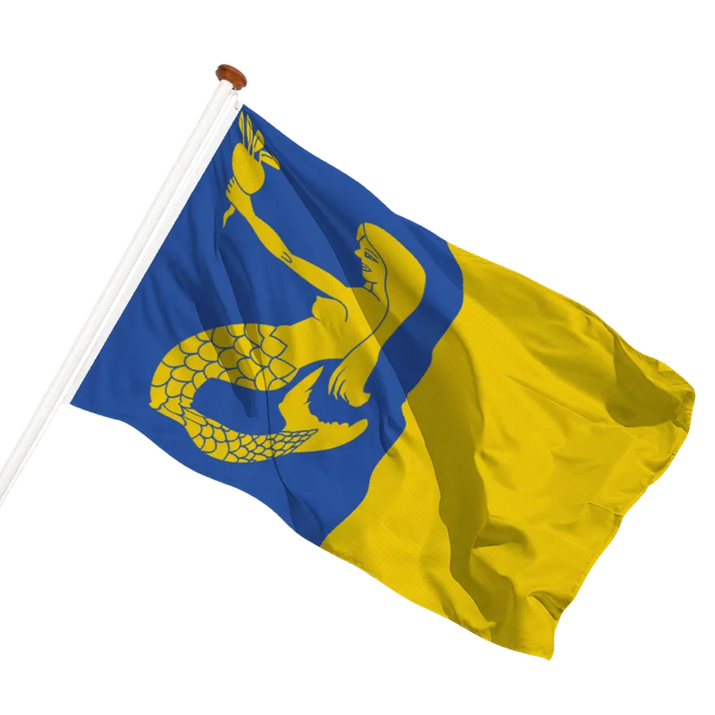 Vlag van Waasmunster