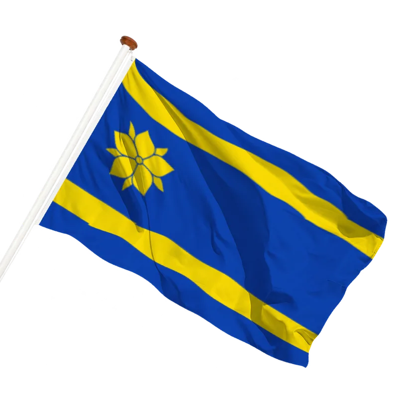 Vlag van Hattem