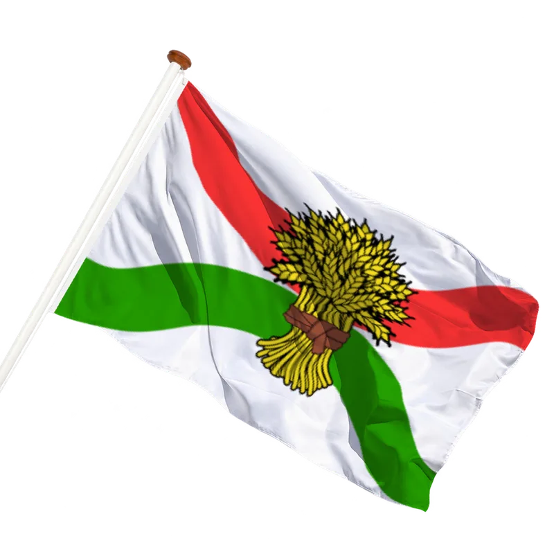 Vlag van Uffelte