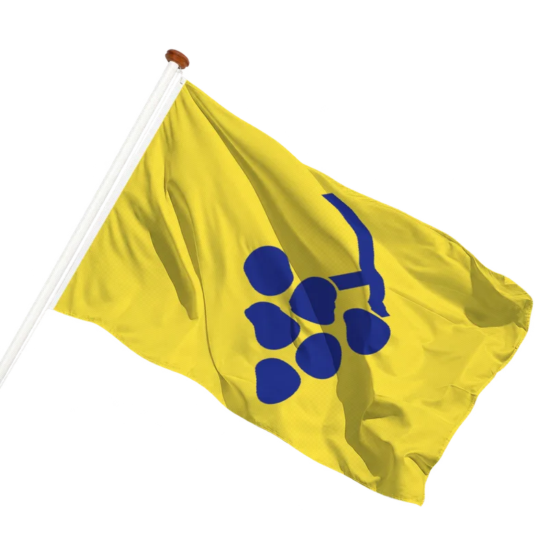 Vlag van Overijse