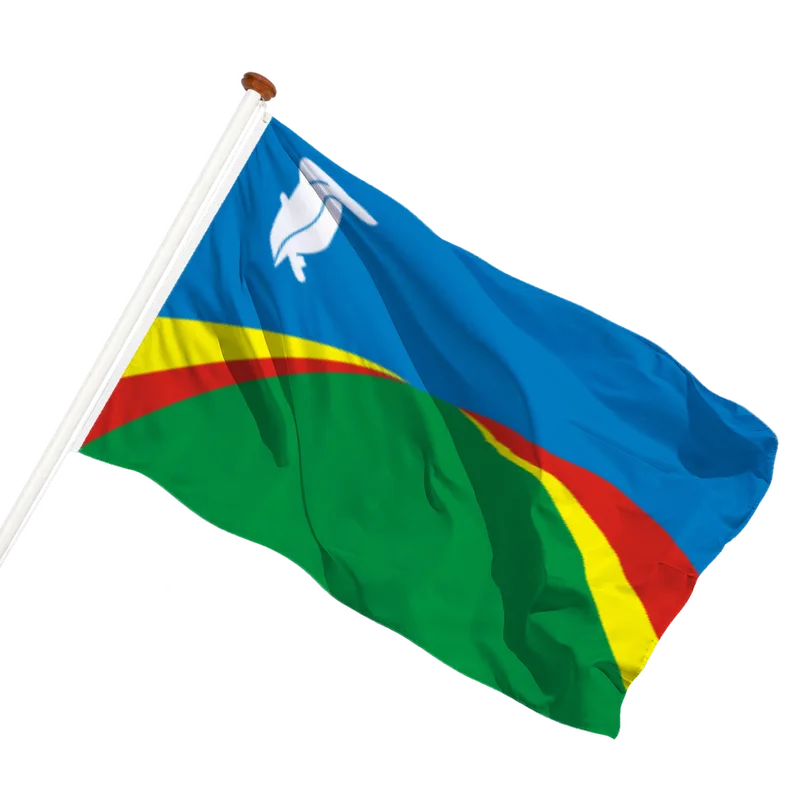 Vlag van Biddinghuizen
