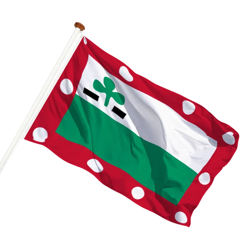 Vlag van Meppel