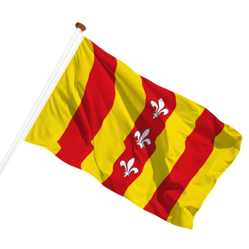 Vlag van Duffel