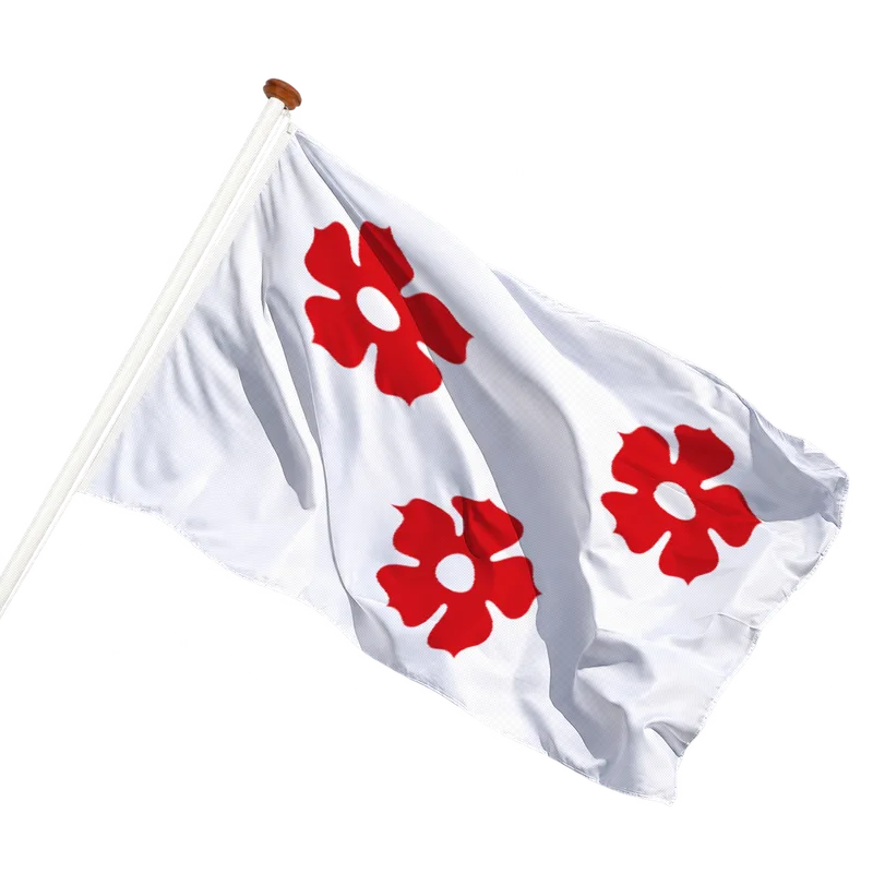 Vlag van Ardooie