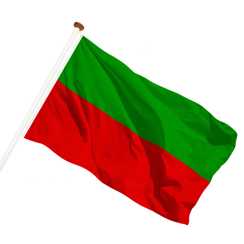 Vlag van Breskens