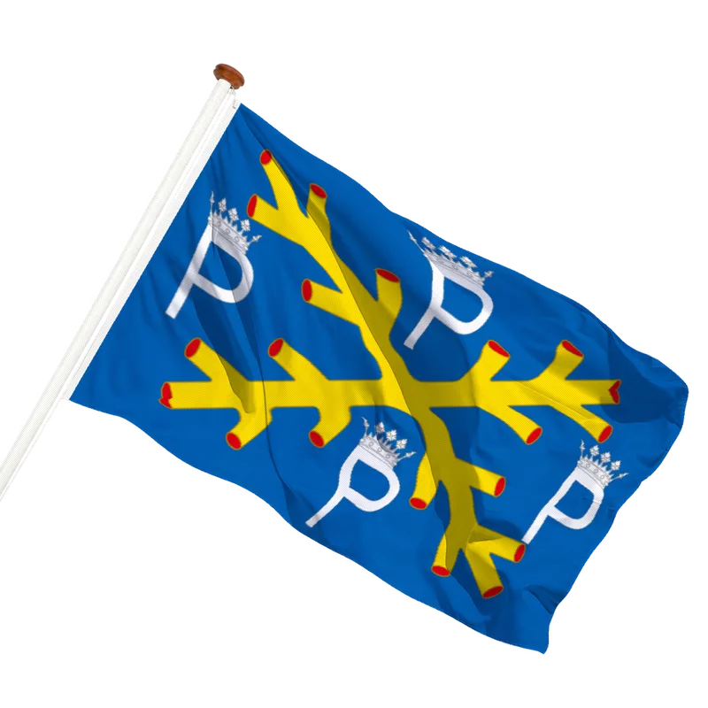 Vlag van Philippeville