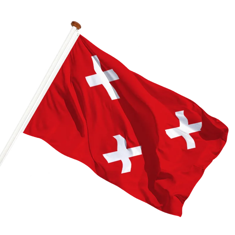 Vlag van Schoten