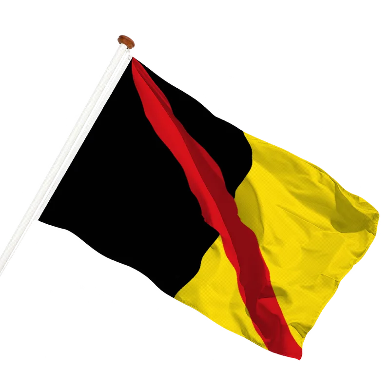 Vlag van Fontaine-l'Évêque