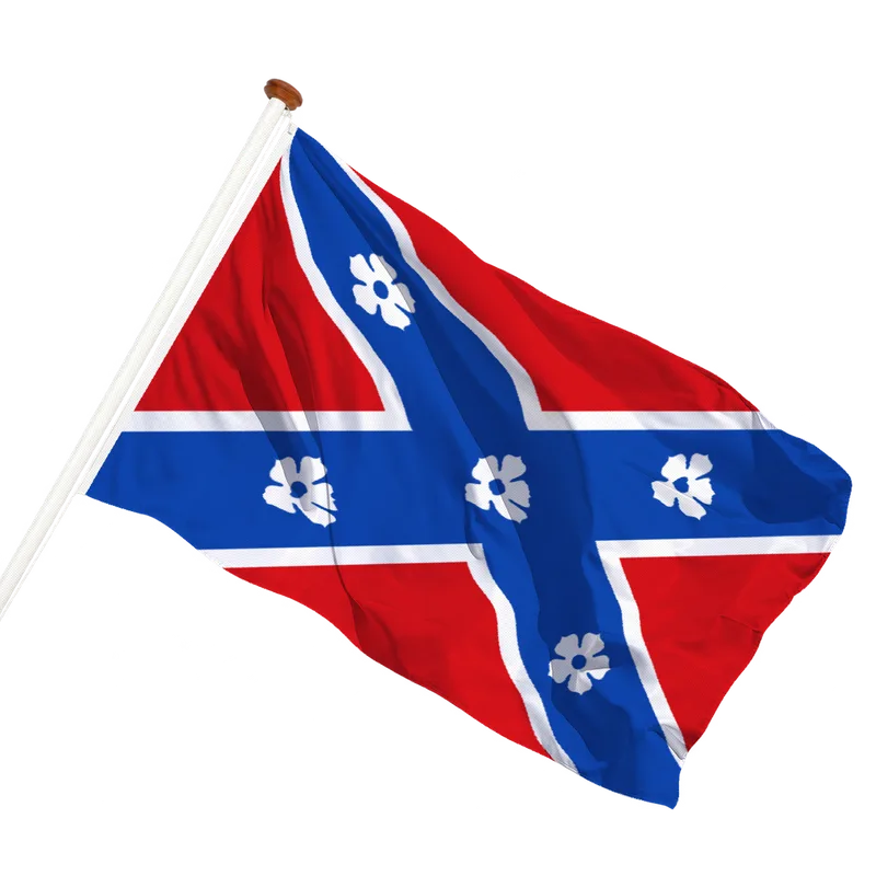 Vlag van Frasnes-lez-Anvaing