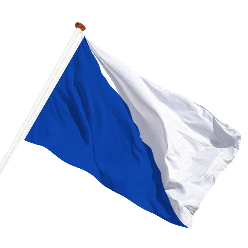 Vlag van Leuze-en-Hainaut