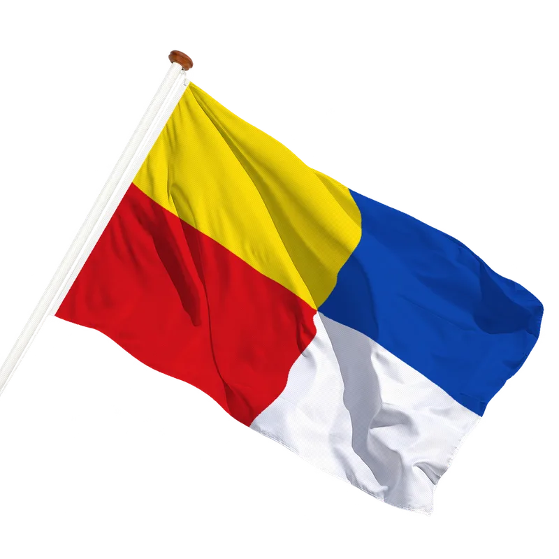 Vlag van Manage