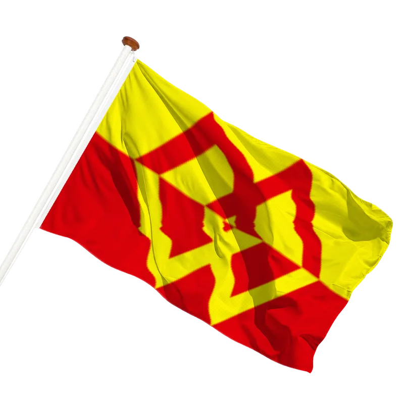 Vlag van Morlanwelz