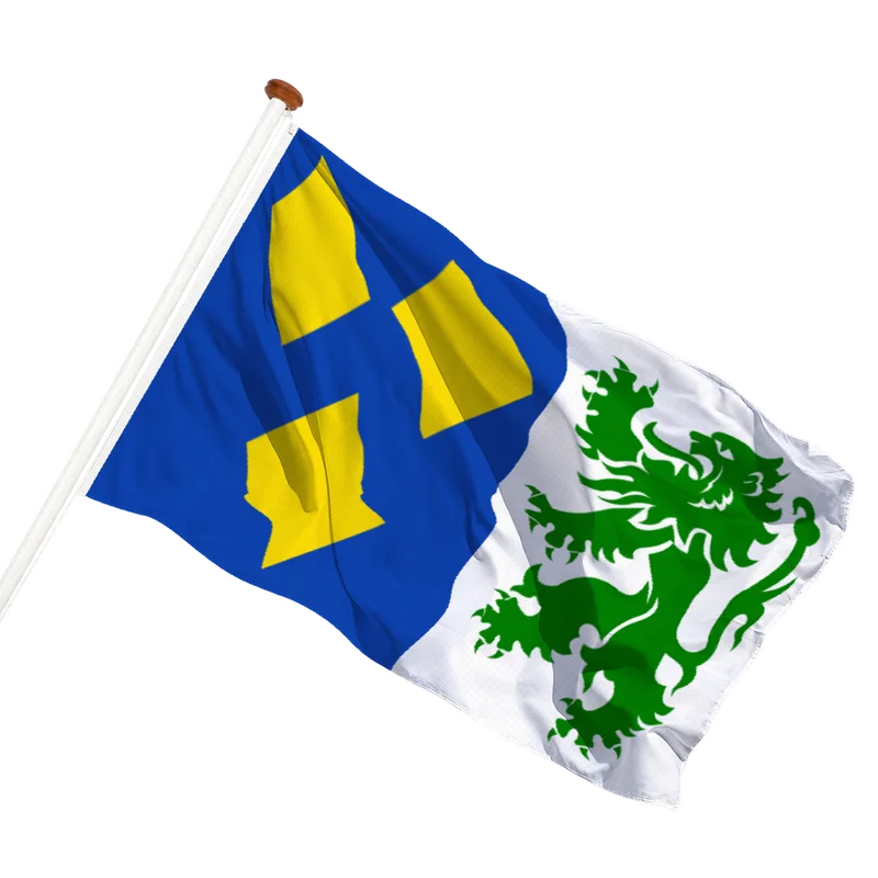 Vlag van De Panne