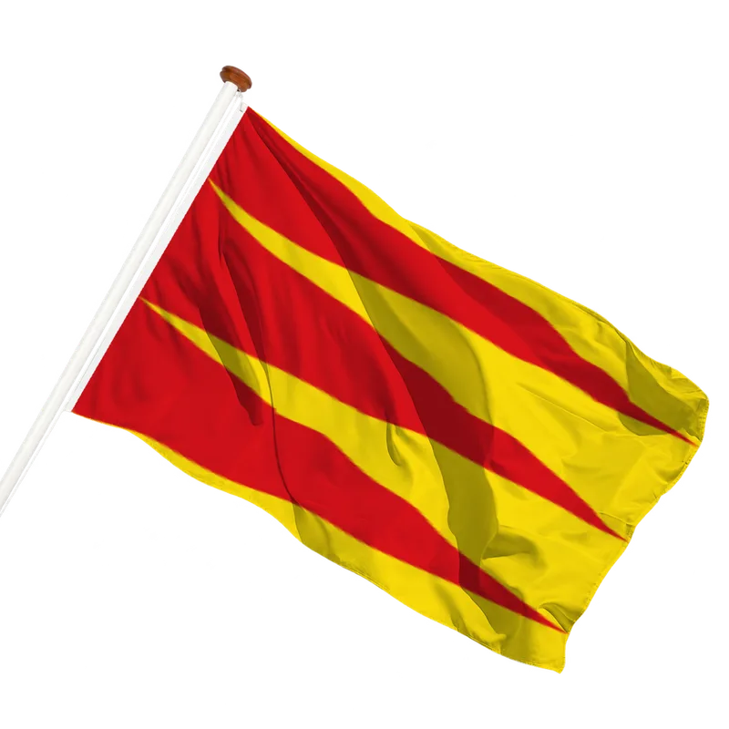 Vlag van Rhoon