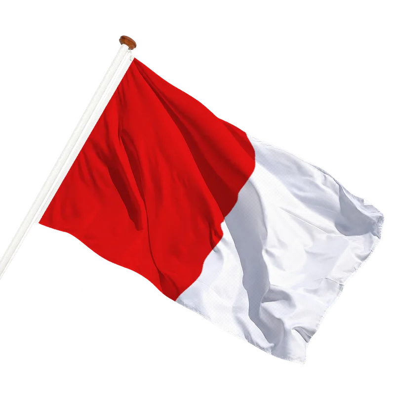 Vlag van Sint-Pieters-Leeuw