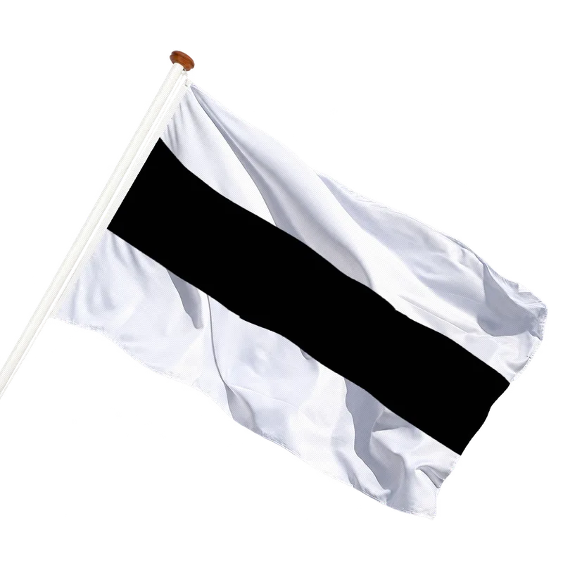 Vlag van Delft
