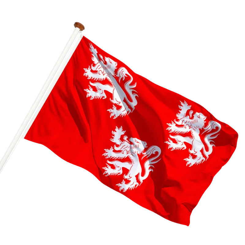Vlag van Gavere