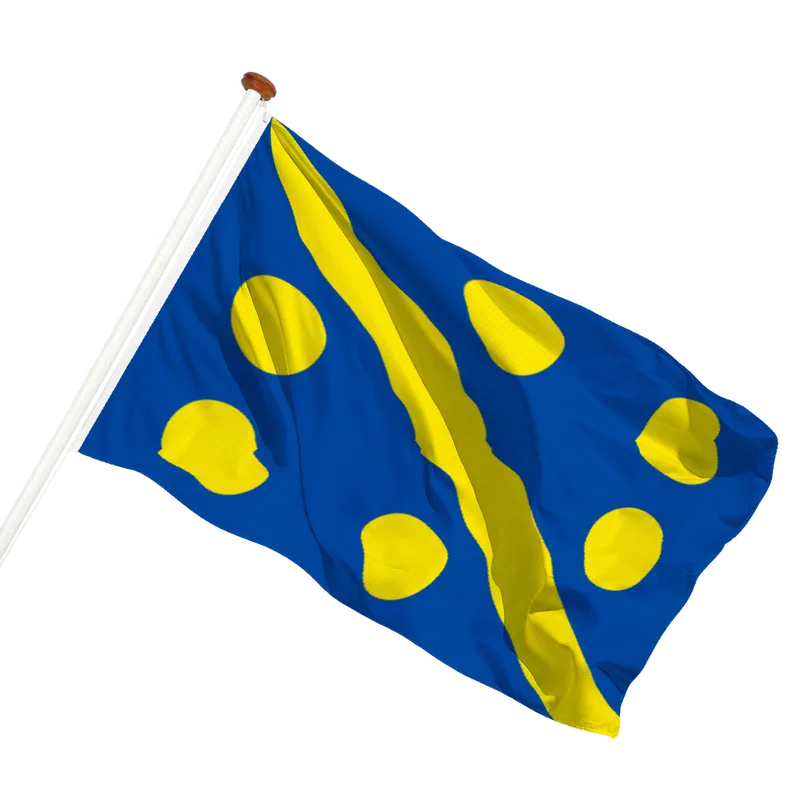 Vlag van Assesse