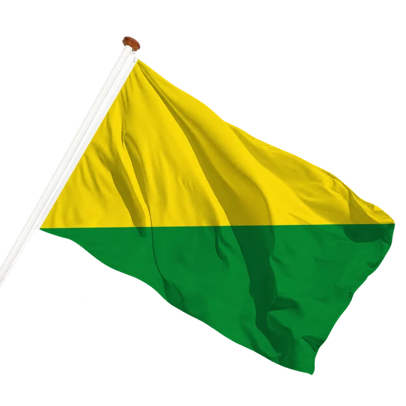 Vlag van La Bruyère